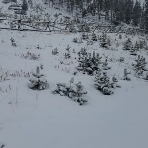 Meet your Posher, Omar